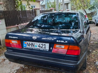 Nissan Primera foto 3