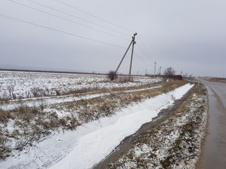 Pamint arabil lingă oras 2 km spre Bacioi , 50 ari foto 5