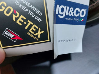 IgI & CO  Goretex