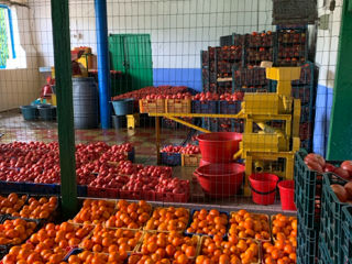 Magazin agricol SEMAS st .Ratuș  Criuleni