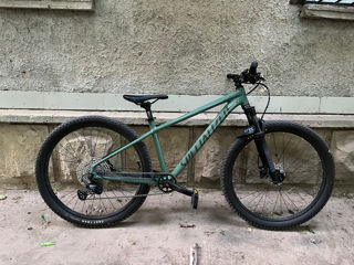 Bicicleta Specialized MTB