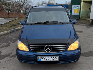 Mercedes Viano foto 3