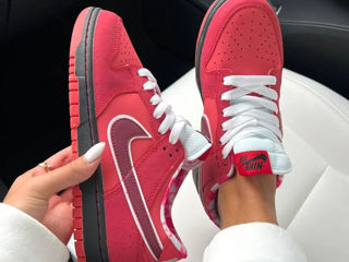 Nike SB Dunk Lobster Red Women's foto 7