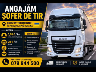 Sprintersrl