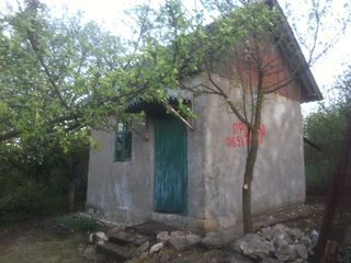Дача,одноэтажная (3х4.5).,6 соток, 100м от Чимишенского озера ,цена 1700 евро. foto 6