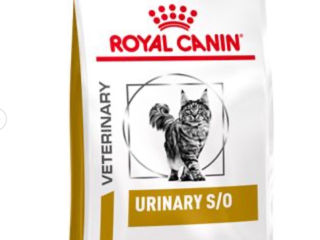 Royal canin  Hills  Calibra  hrana mancare  pentru caini pisici foto 3