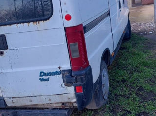 Vind piese la fiat ducato