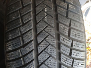 225/55 R18 Iarna