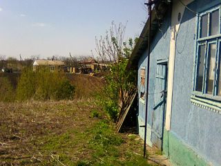 Продается дом в Дрокиевском районе foto 5