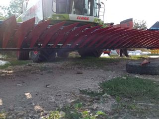Prestam servicii de recoltare cu combine lexion 600 si lexion 580