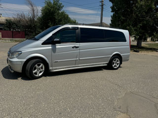 Mercedes Viano foto 5