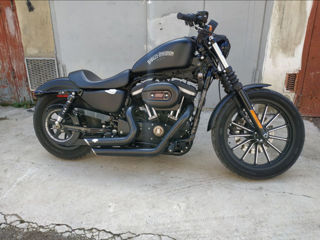Harley - Davidson Sportster Iron 883