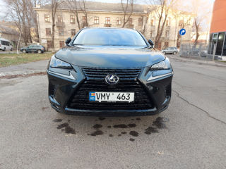 Lexus NX Series foto 5