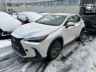 Lexus NX Series