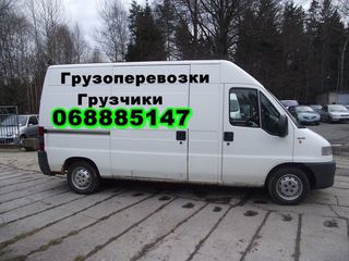 Грузоперевозки от 70 л/ч или 3.50л/км грузчики от 50л/ч foto 4