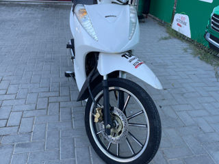 Motomax Bravoxs foto 2