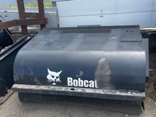 Matura bobcat foto 1