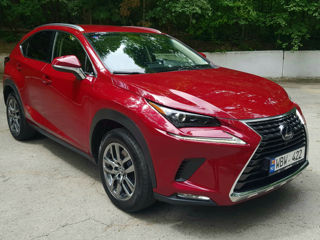 Lexus NX Series foto 1