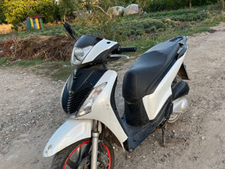 Honda Sh 150i 2010 foto 4