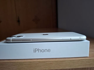 iPhone 11 foto 4