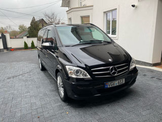 Mercedes Viano