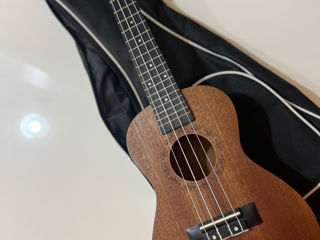 Ukulele Artemis foto 4