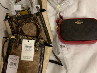 SALE Coach последние цены