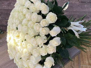 Trandafiri premium olandezi de la 37 mdl Livrare flori 24/24 доставка цветов flowers delivery foto 2