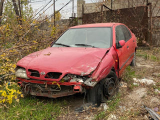 Nissan Primera foto 3