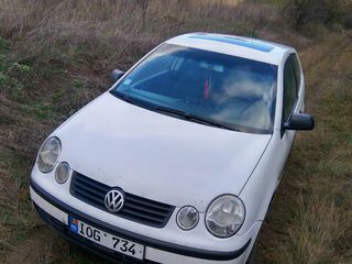 Volkswagen Polo foto 2