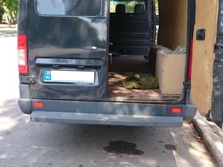 Mercedes Sprinter 313 foto 1