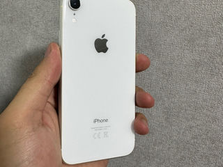 iPhone XR ideal