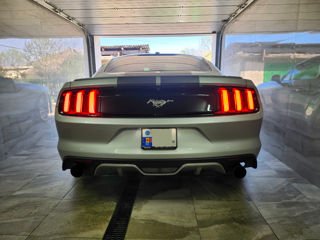 Ford Mustang foto 5