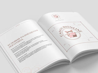 Разработка brandbook-а в Молдове, уникальный дизайн и лучшие цены от Studio Webmaster! фото 1