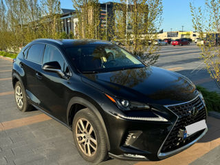 Lexus NX Series foto 3