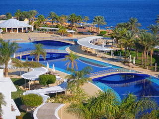 Egypt! "Monte Carlo Sharm Resort & Spa" 5*! Din 11.07- 8 zile! foto 3