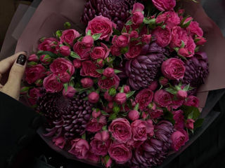 Ap. 1 cam., 40 м², 4/5 et.