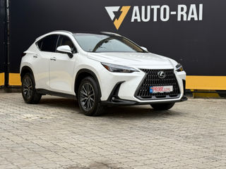 Lexus NX Series