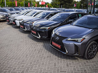 Lexus UX фото 7