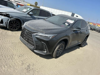 Lexus NX Series foto 1