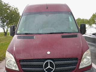 Mercedes Sprinter 313