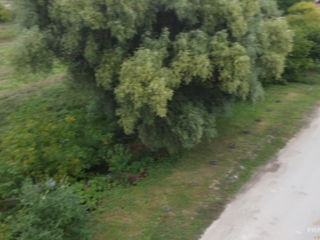 Spre vinzare teren în apropiere traseul Chisinau - Truseni 2.05 ha arabil foto 10