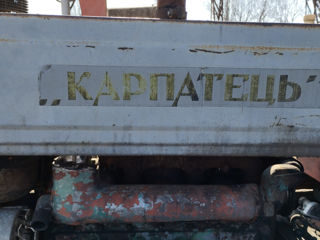 Продам Карпатец foto 2