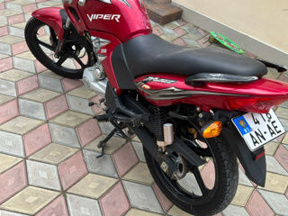 Viper Max 250