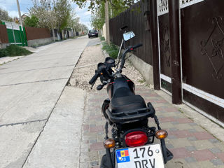 Alpha Moto Alpha Moto 110cc foto 3