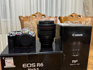 Canon R6 mark ii + Canon 85 mm 1.2 foto 5