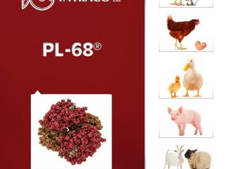 PL-68 - Proteină vegetală pentru toate animalele (72% PB) foto 3