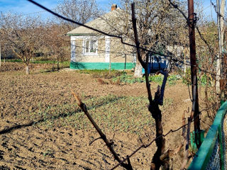 Casa de locuit in Hirbovațul Nou