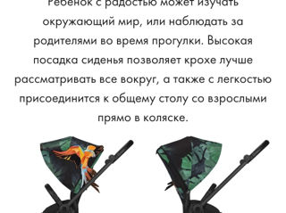 Cybex Mios Fashion, "Birds of paradise" foto 4