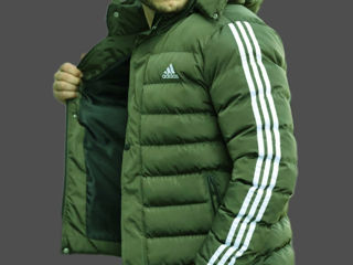 Adidas Nike Prada The North Face foto 3